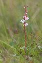 BUITEN BEELD Foto: 52620
