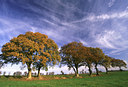 BUITEN BEELD Foto: 52652