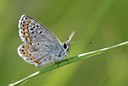 BUITEN BEELD Foto: 52653