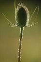 BUITEN BEELD Foto: 52663