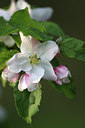 BUITEN BEELD Foto: 52669