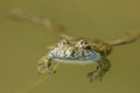 BUITEN BEELD Foto: 52690