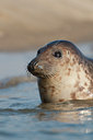 BUITEN BEELD Foto: 52704