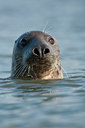 BUITEN BEELD Foto: 52705