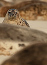 BUITEN BEELD Foto: 52724