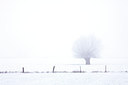 BUITEN BEELD Foto: 52744