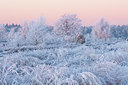 BUITEN BEELD Foto: 52754