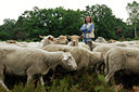 BUITEN BEELD Foto: 52778