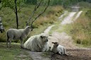 BUITEN BEELD Foto: 52779