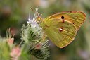 BUITEN BEELD Foto: 52862