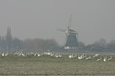 BUITEN BEELD Foto: 52883