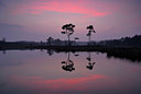 BUITEN BEELD Foto: 52928