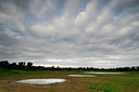 BUITEN BEELD Foto: 52930