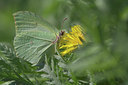 BUITEN BEELD Foto: 52971