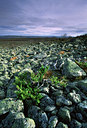 BUITEN BEELD Foto: 53025