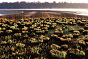 BUITEN BEELD Foto: 53029