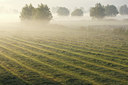 BUITEN BEELD Foto: 53051