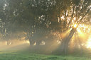 BUITEN BEELD Foto: 53052