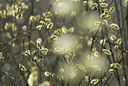 BUITEN BEELD Foto: 53097