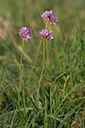 BUITEN BEELD Foto: 53133