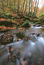 BUITEN BEELD Foto: 53168