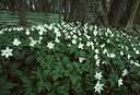 BUITEN BEELD Foto: 53204