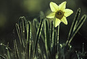 BUITEN BEELD Foto: 53208