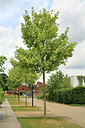BUITEN BEELD Foto: 53228
