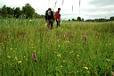 BUITEN BEELD Foto: 53234