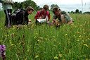 BUITEN BEELD Foto: 53238