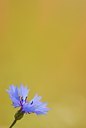 BUITEN BEELD Foto: 53241