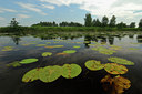 BUITEN BEELD Foto: 53250