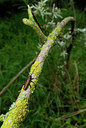 BUITEN BEELD Foto: 53304