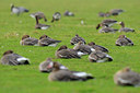 BUITEN BEELD Foto: 53331