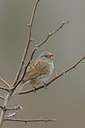 BUITEN BEELD Foto: 53367