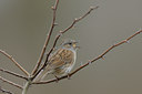BUITEN BEELD Foto: 53368