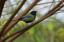 BUITEN BEELD Foto: 53399