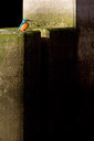 BUITEN BEELD Foto: 53428