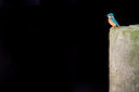 BUITEN BEELD Foto: 53429