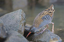 BUITEN BEELD Foto: 53436