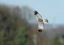 BUITEN BEELD Foto: 53446