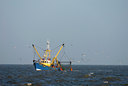 BUITEN BEELD Foto: 53459