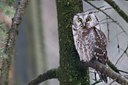 BUITEN BEELD Foto: 53479