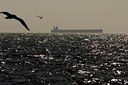 BUITEN BEELD Foto: 53499