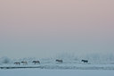 BUITEN BEELD Foto: 53521