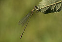 BUITEN BEELD Foto: 53558