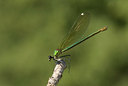 BUITEN BEELD Foto: 53574