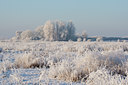 BUITEN BEELD Foto: 53583