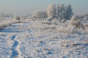 BUITEN BEELD Foto: 53584