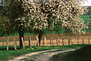 BUITEN BEELD Foto: 53650